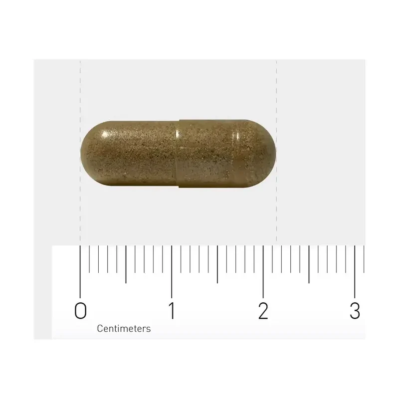 Orthica Ginko 30 vcaps