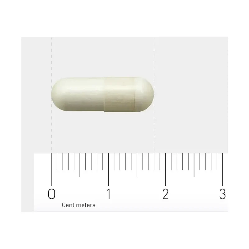 Orthica Brain support 60 capsules