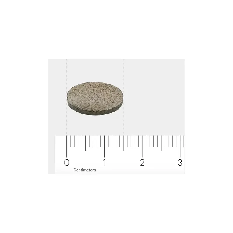 Orthica Tri IJzer-15 90 tabletten